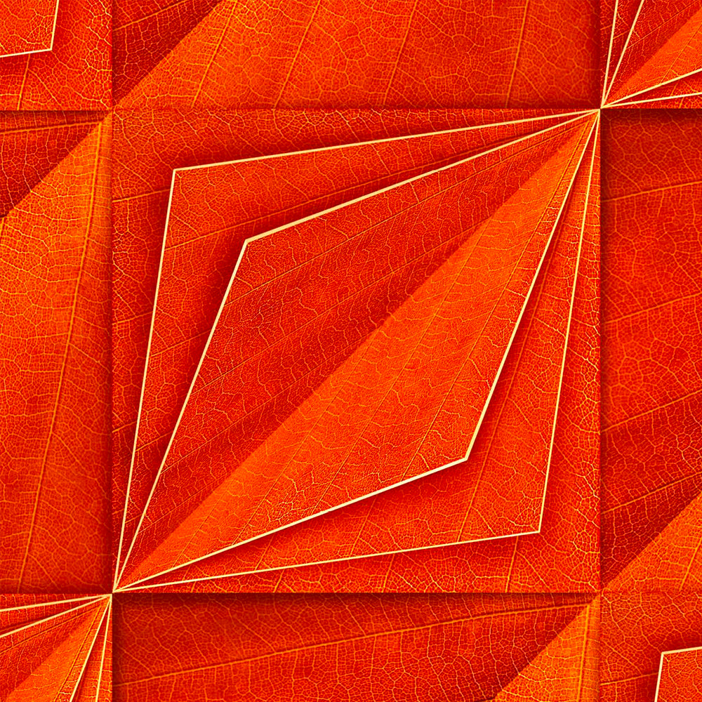 Orange Wallpaper by Suzan Hijink - NLXL | Do Shop