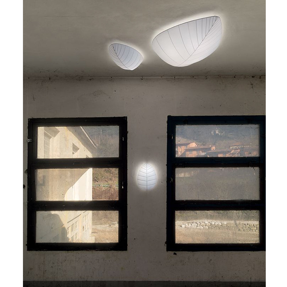 Eden Wall or Ceiling Light by Karman | Do Shop