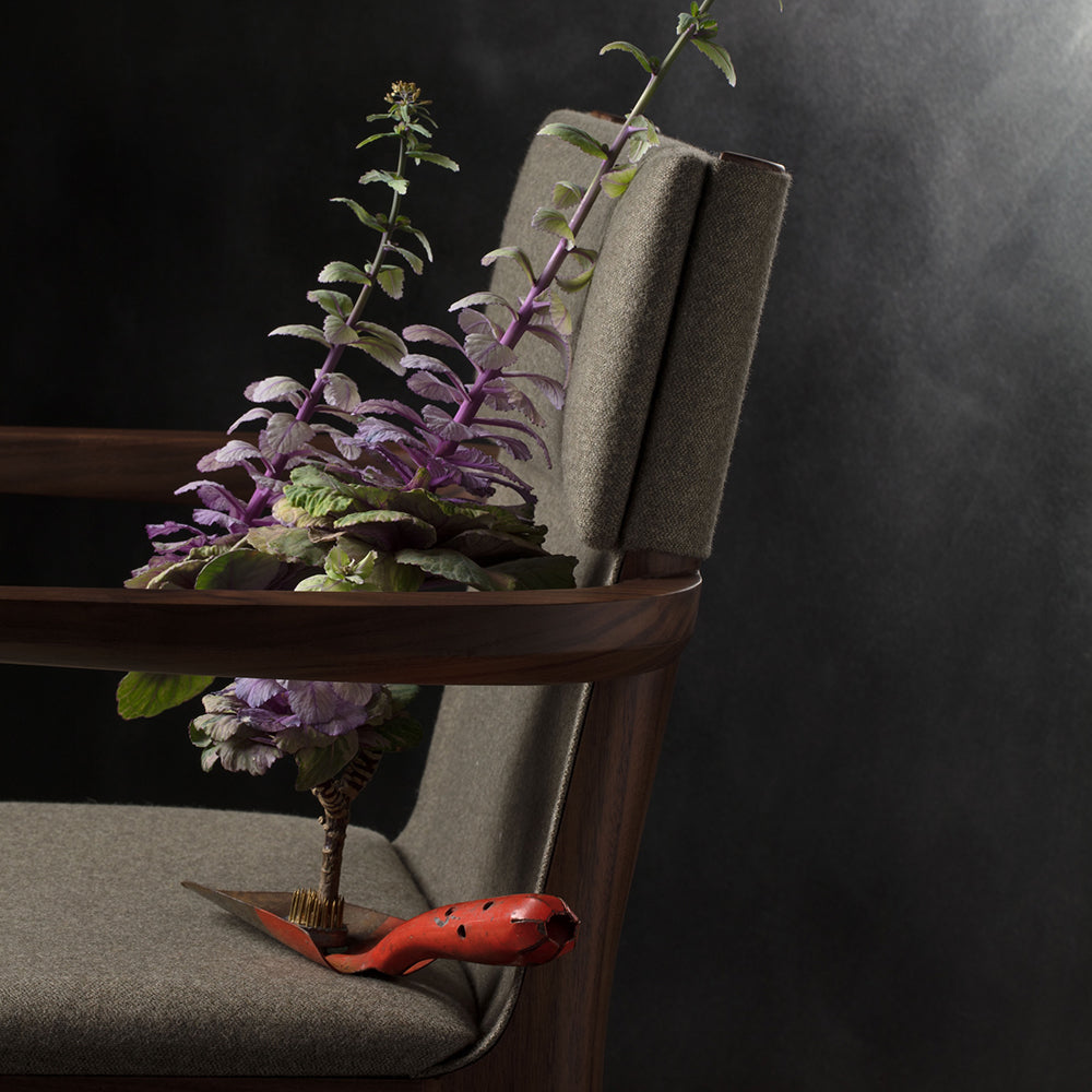 Taylor Dining Chair - Stellar Works - Do Shop