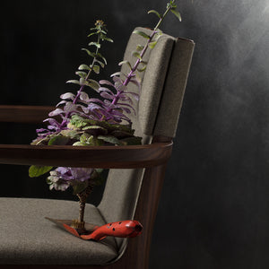 Taylor Dining Chair - Stellar Works - Do Shop