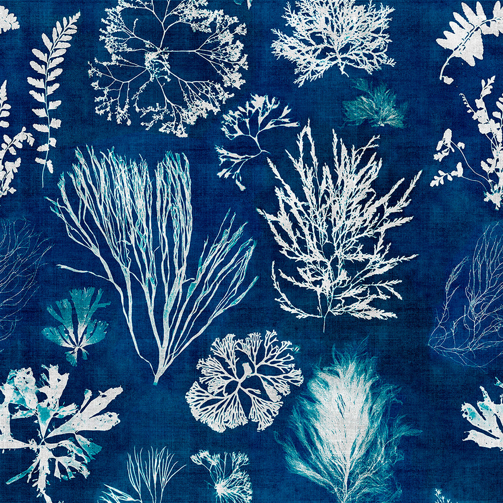 Algae Navy Blue Collectables Wallpaper - MINDTHEGAP - Do Shop