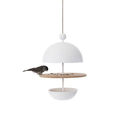 Dish Of Desire - Frederik Roije - Do Shop