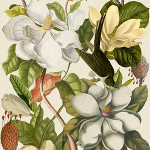 Magnolia Taupe Wallpaper by MINDTHEGAP | Do Shop