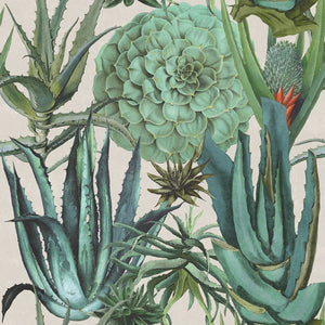 Succulentus Wallpaper by MINDTHEGAP | Do Shop