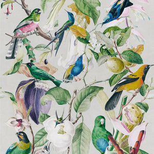 Tropical Birds Wallpaper by MINDTHEGAP | Do Shop