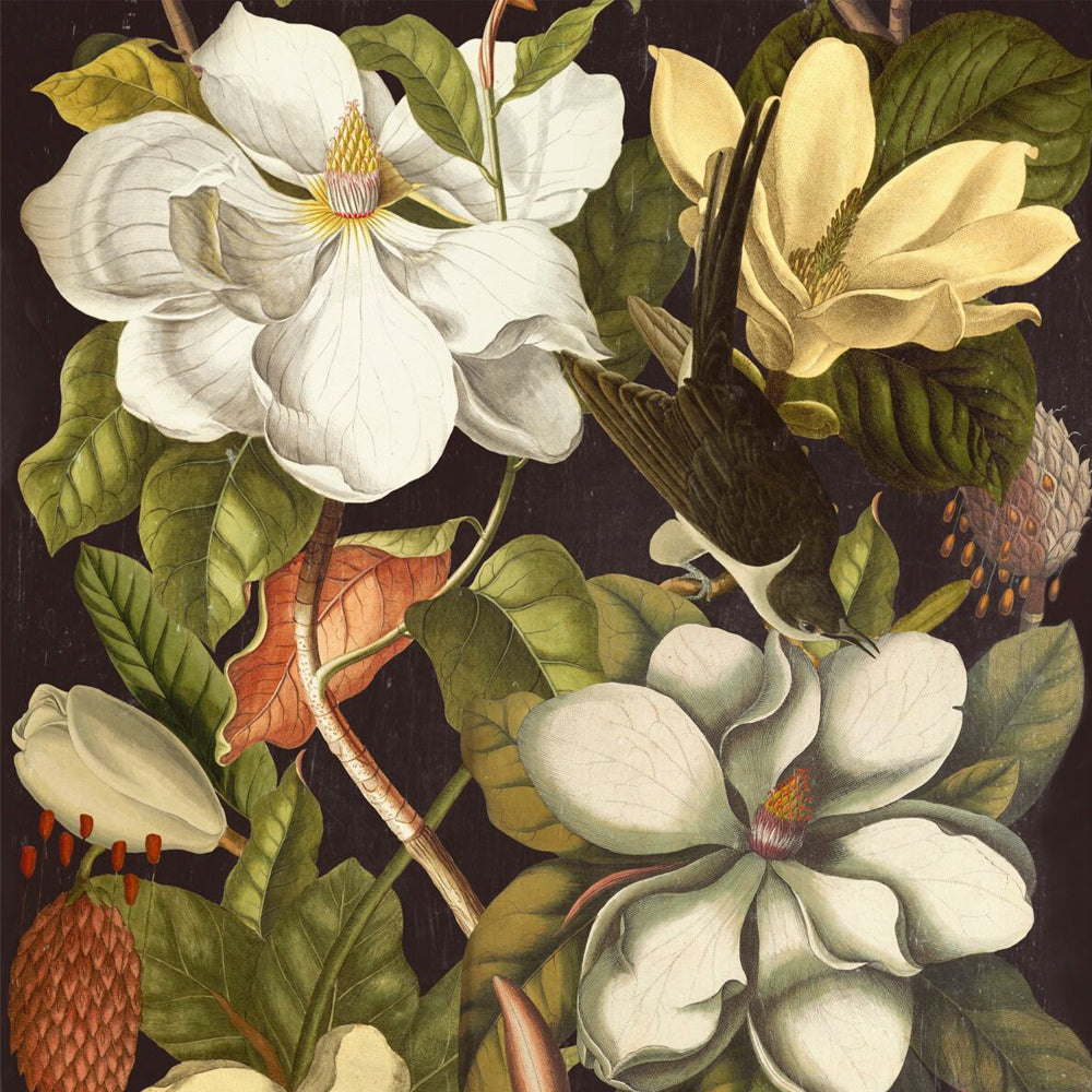 Magnolia Wallpaper by MINDTHEGAP | Do Shop