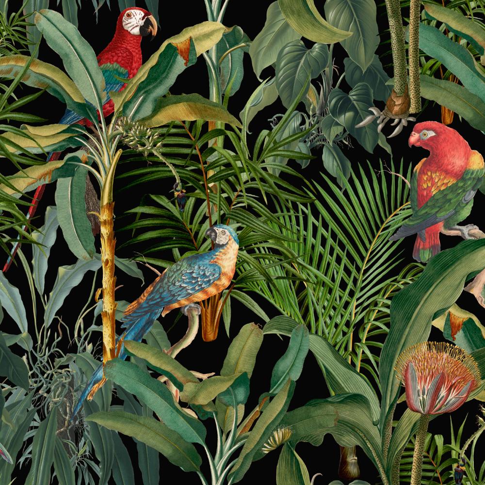 Parrots Of Brasil Wallpaper - Compendium Collection by MINDTHEGAP | Do Shop