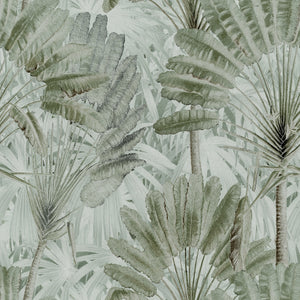 Traveller's Palm Wallpaper - Compendium Collection by MINDTHEGAP | Do Shop
