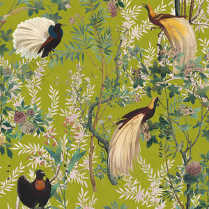 Royal Garden Wallpaper - Compendium Collection by MINDTHEGAP | Do Shop
