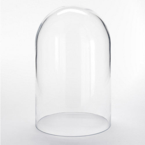 Glass Bell Dome - Coming B - Do Shop
