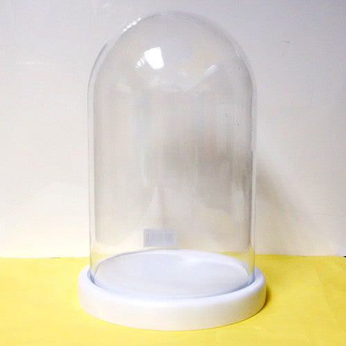 Glass Bell Dome - Coming B - Do Shop